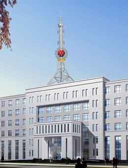 工艺塔生产厂家图片_高清图_细节图-衡水新东方通讯设备 -