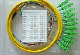 12芯束状尾纤厂家图片 高清图 细节图 慈溪市宏玖通信设备厂 捷配仪器仪表网